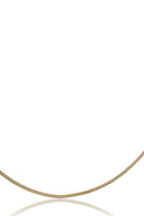 e9b16320873e6ffdfba21b22456ea492