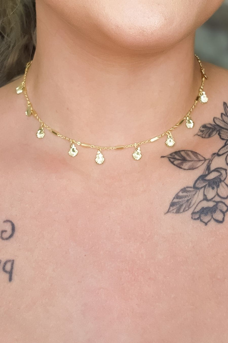 6bd30b3598f07ce7504d24f4a5229082