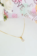 c504e3c06291df2d08be62005499f716