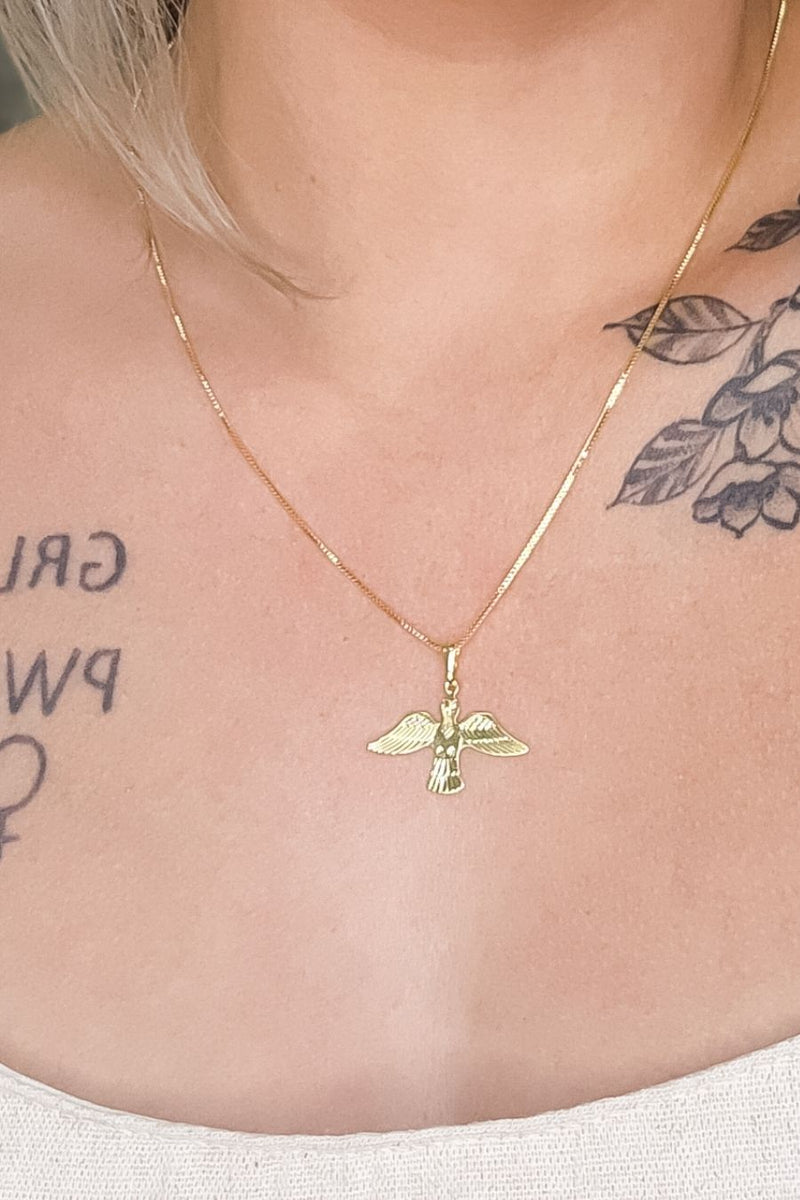 353fe275f8a7b15e3e8ae9db9a99a003