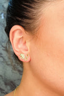 305c72aa5761f26098f7e994d45b5bc9